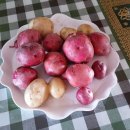 죽암농장 이미지