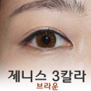 JJ헤어칼라 | 오렌즈 쓰리톤렌즈 * 제니스 3칼라 브라운