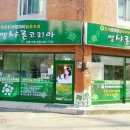 엘샤론 코리아 이미지