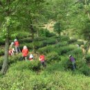 일봉농장 이미지