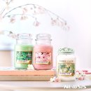 체리트리(CHERRY TREE) 이미지