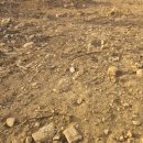 수월리 하늘아래 첫 동네 이미지