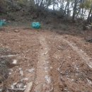 선우산림기술사사무소