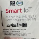 거림의료기 | 겨울철 추천 전기장판! 전용앱으로 원격제어가능한 "한일의료기 전기장판"