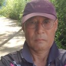 세포마을가는개 이미지