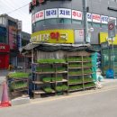 안성시장약국 이미지