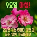 한평생 이미지