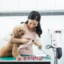 중부동물병원 이미지