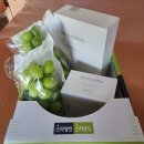 포도공인중개사사무소 이미지