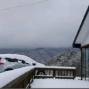 람쥐야 도토리 이미지