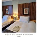 후쿠오카 텐진 넓은 숙소 몬토레 라 수르 호텔 가성비 좋은 숙소 후기
