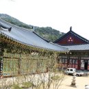 해인사 Daum카페