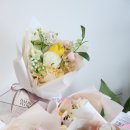 주정차046 이미지