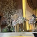 더루체 | [안산] 더 루체 웨딩홀 | 하객 솔직 후기 | 주차, 분위기, 뷔페