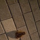 은혜당구장 이미지