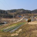 서삼면사무소 이미지