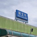 대우게스트하우스 | 묵호 1박2일 혼자 여행 경비 및 여행코스 맛집 추천 솔직후기