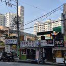 진성장어 이미지