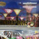 Fall PC방 이미지