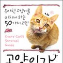 낄낄고양이 이미지