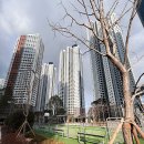 장유(서부산) | 시티 제니스&amp;프라우 입주 예정자라면 줄눈시공은 필수입니다...[줄눈시공후기 - 수현줄눈 서부산지사]