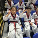 SPM 태권도 이미지