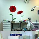 서울인성치과의원 이미지