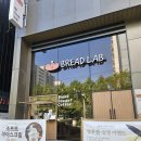bread O(브레드오) | 베이커리 추천 소금빵 크로아상 기흥빵맛집 '브레드랩'