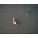 창원목재