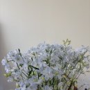 수지플라워 이미지