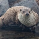 대한민국 어린이 동 이미지