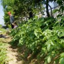 입실3리 이미지