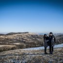 불빛목장 이미지