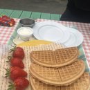 신왕리 | 화성 아기농부 딸기체험 🍓 아이랑 가기 좋은 체험농장 추천(내돈내산)