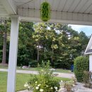 아름다운날 이미지