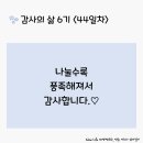 감사의 삶 6기 ＜44일차＞ (2/13) 이미지