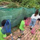 시나기봄음악미술영수학원 이미지