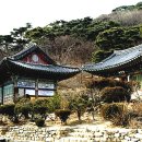 송학사 Daum카페