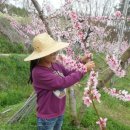 상원농원 이미지