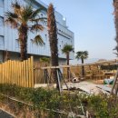 라테라스B 이미지