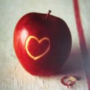 에바코편의점 이미지