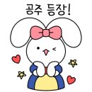 큰손해물손칼국수 이미지