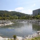 생태연못 이미지