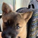 똘이똘이엄마식당 이미지