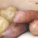 주전부리 다담아