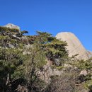 안말공원 이미지