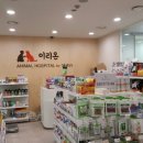 이리온 양재점 이미지