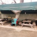 황금오리알 이미지