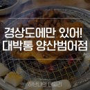 대박통 | 경상도에만 있다는 문어구이 양산에서 조지고 온 솔직후기! 대박통 양산범어점