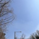 씽크독스쿨 | 가평일기